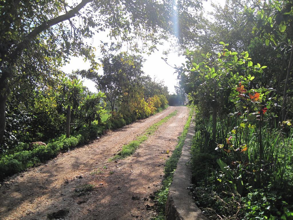 Quinta Das Seis Marias Villa Lagos Exterior foto